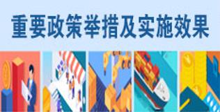 重要政策舉措及實施效果